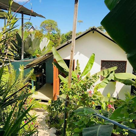 דירות Drakes Bay Casita Tangara Con Balcon Y Agua Caliente מראה חיצוני תמונה