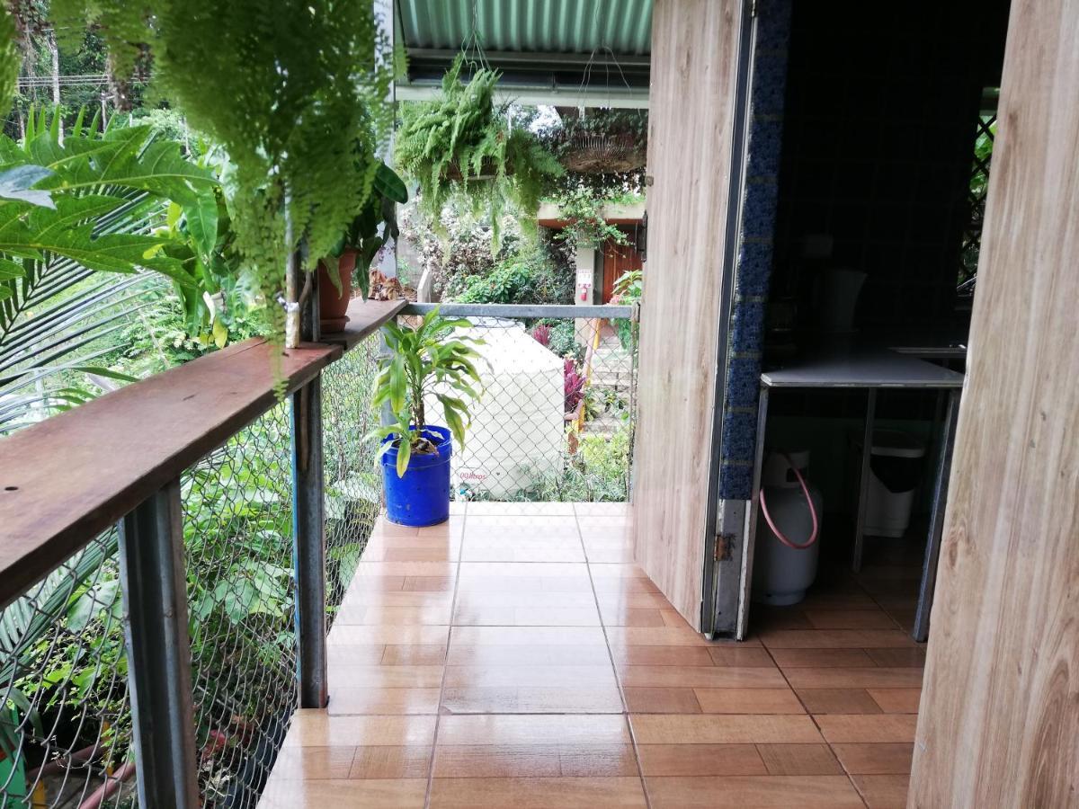 דירות Drakes Bay Casita Tangara Con Balcon Y Agua Caliente חדר תמונה