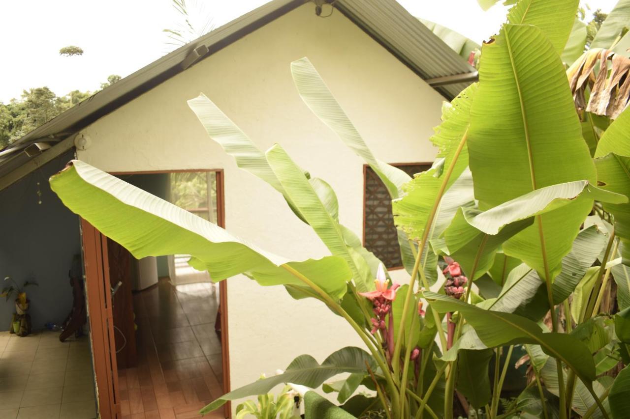 דירות Drakes Bay Casita Tangara Con Balcon Y Agua Caliente מראה חיצוני תמונה