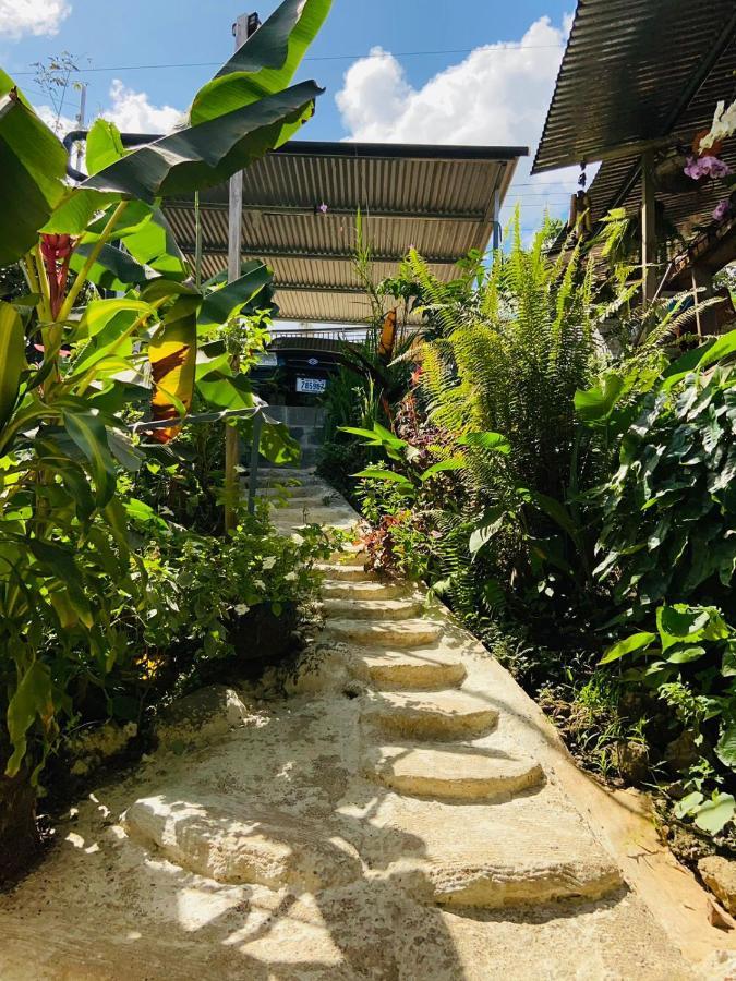 דירות Drakes Bay Casita Tangara Con Balcon Y Agua Caliente מראה חיצוני תמונה