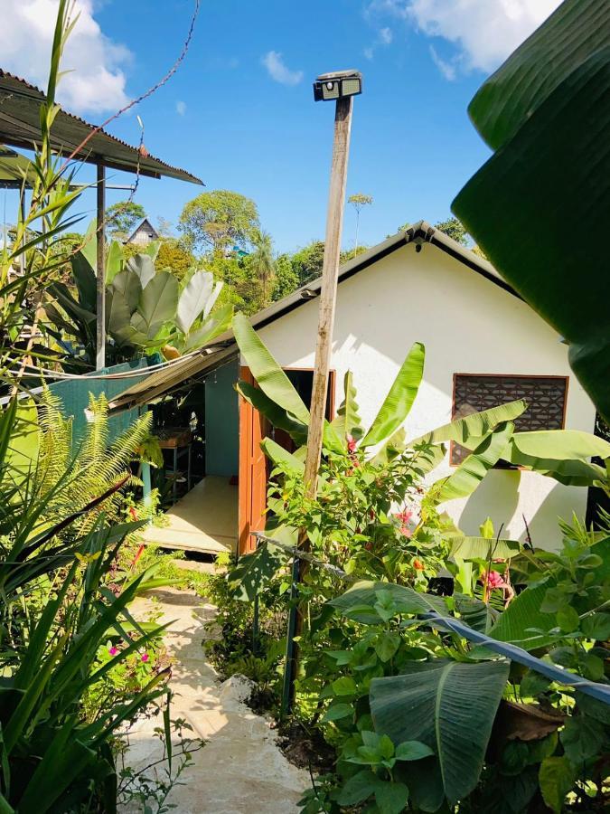 דירות Drakes Bay Casita Tangara Con Balcon Y Agua Caliente מראה חיצוני תמונה